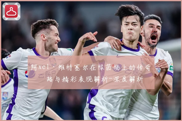 阿xel·维特塞尔在绿茵场上的传奇之路与精彩表现解析-深度解析