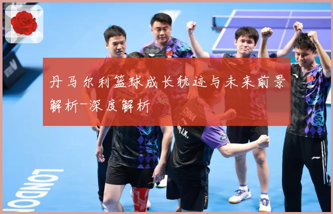 丹马尔利篮球成长轨迹与未来前景解析-深度解析