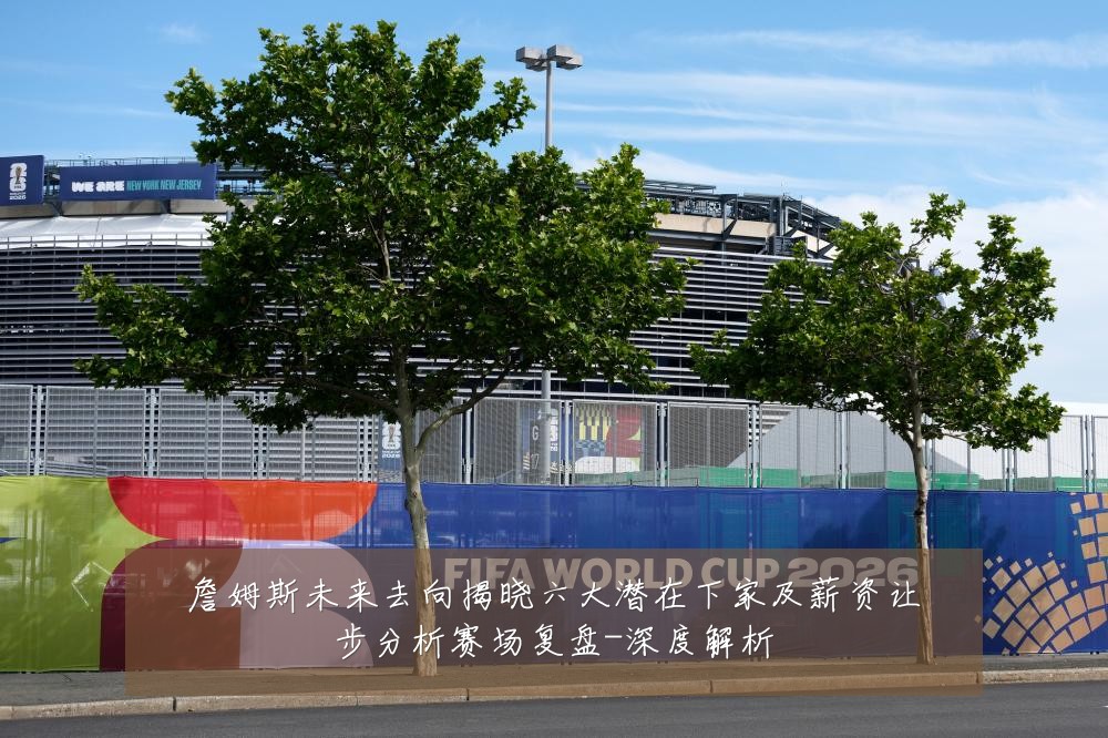 詹姆斯未来去向揭晓六大潜在下家及薪资让步分析赛场复盘-深度解析