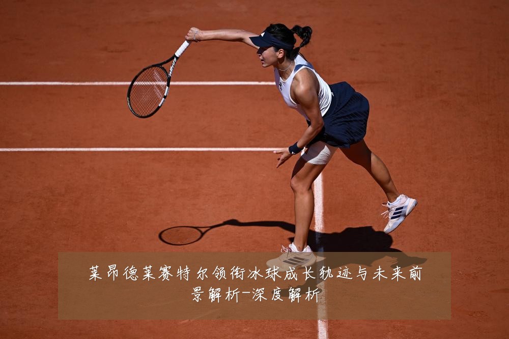 莱昂德莱赛特尔领衔冰球成长轨迹与未来前景解析-深度解析